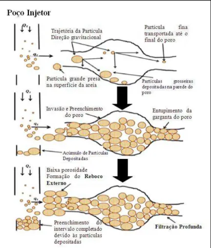 Figura 2.5 - Processo físico de deposição e acúmulo de partículas devido à Filtração  Profunda e Reboco Externo