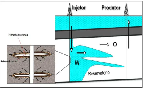 Figura 2.6 - Ilustração da filtração profunda e formação de reboco externo no túnel  canhoneado durante a injeção de água