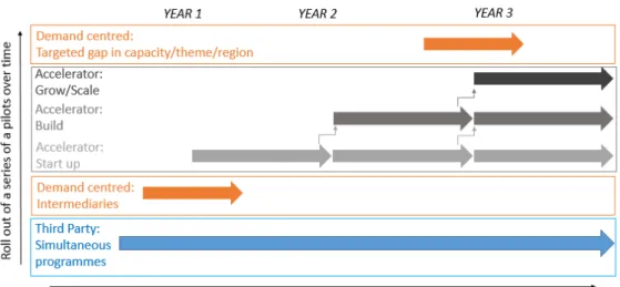 Figure 8 Diagram of Proposed Capacity Building Programme Delivery Recommendation #1:  