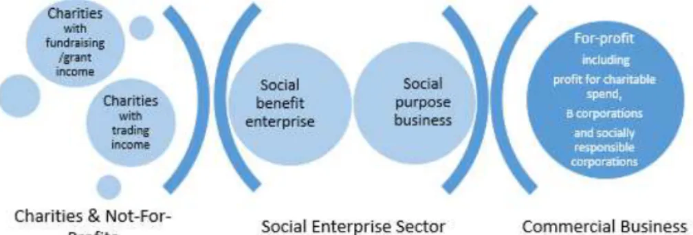 Figure 1 Range of Entities within the Social Sector 