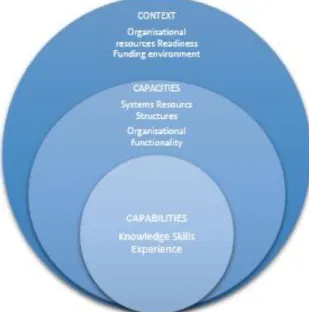 Figure 2 The HOW and WHAT of Capacity Building