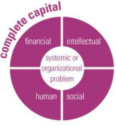 Figure 6 The Complete Capital Framework 