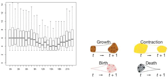 Figure 2.5. Analysis of groups’ evolution, i.e., groups’ sizes and groups’ trans- trans-formations, over di ff erent days times.