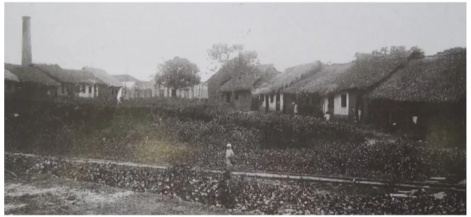 Figura 10. “Vila operária da Camboa  - Cartão fotográﬁco postado em 26.05.1912”  