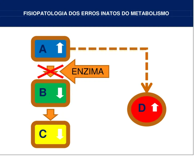 Figura 1  – Fisiopatologia simplificada dos erros inatos do metabolismo