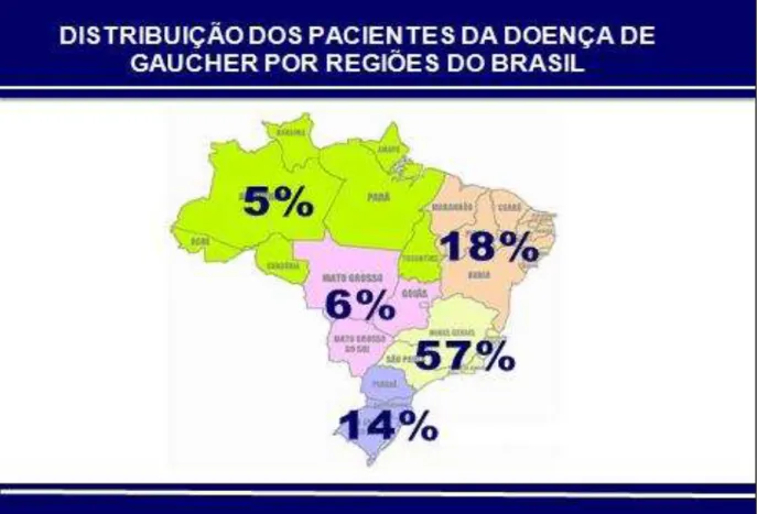 Figura 4  – Distribuição dos pacientes da doença de Gaucher por regiões do Brasil 