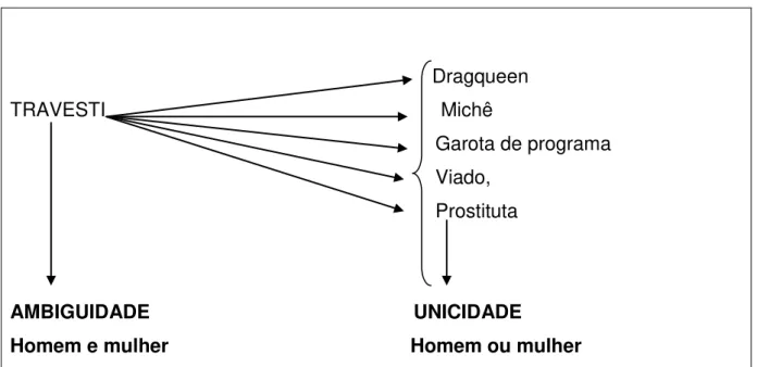 Gráfico 8  –  Travesti X Drag quen, Michê, Garota de Programa, Viado e Prostituta 