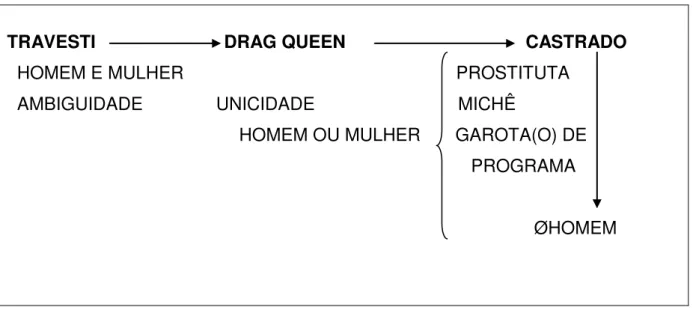 Gráfico 9  –  Travesti X Drag Queen e Castrado 