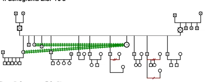 Figura 7. Genograma E.S. -73 a                             