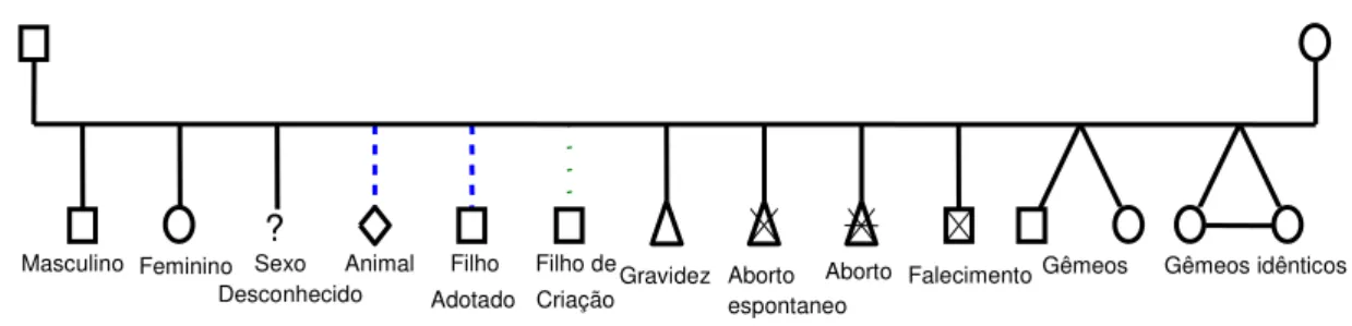 Figura 1. Símbolos representativos do genograma, oficializados em 1985, por McGoldrick, M
