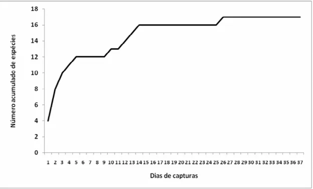 Figura 7. Curva cumulativa de espécies em função dos dias amostrados. 