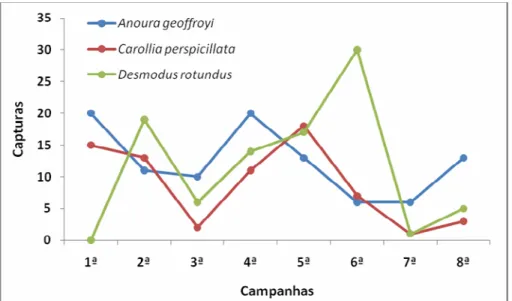 Figura 10. Dinâmica de ocorrência das três espécies mais capturadas na PCH Planalto  nas oito campanhas de estudo