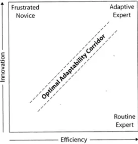 Figure 10: Dimensions of adaptive expertise 