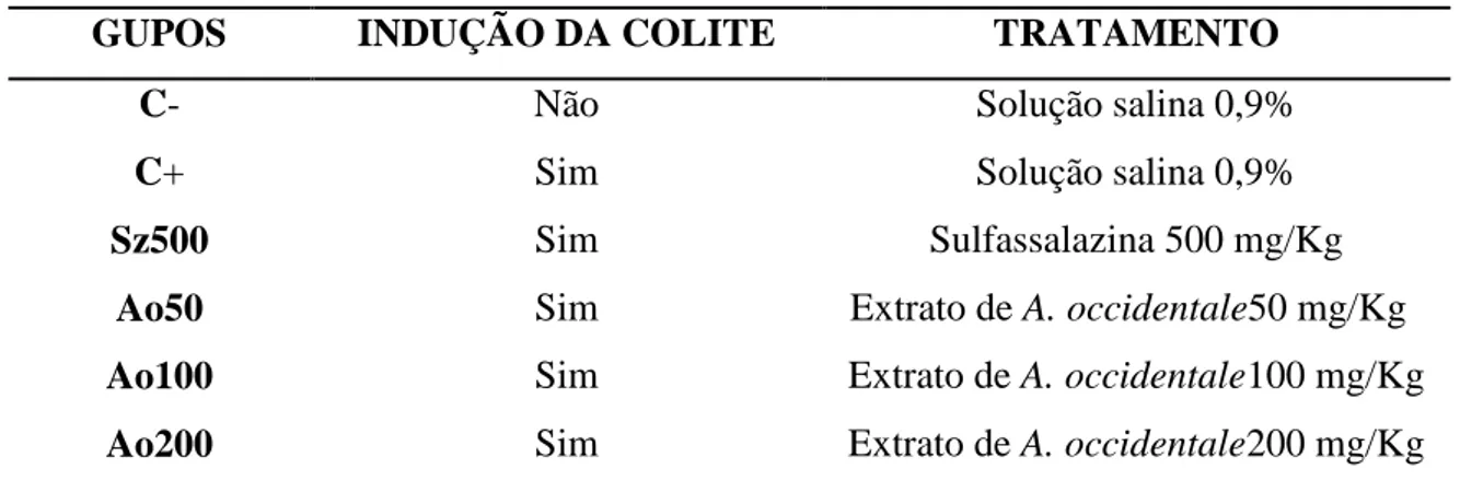 Tabela 01: Distribuição dos animais de acordo com o grupo experimental de indução da colite 