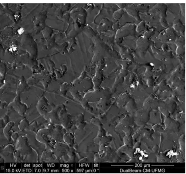 Figura 13. Morfologia da superfície do aço galvanizado (GI), observada por microscopia eletrônica