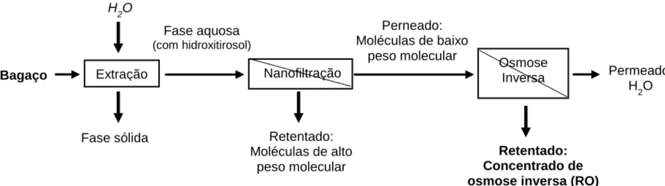 Figura 1.5 - Esquema resumo do processo de produção do concentrado de osmose inversa. [10]