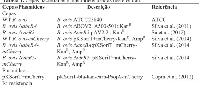 Tabela 1. Cepas bacterianas e plasmídeos usados neste estudo. 