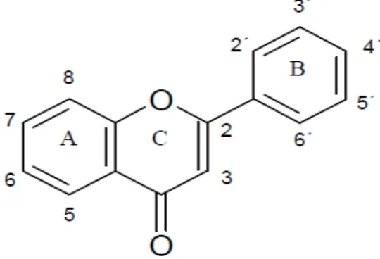 Figura 02  – Estrutura básica dos flavonoides 