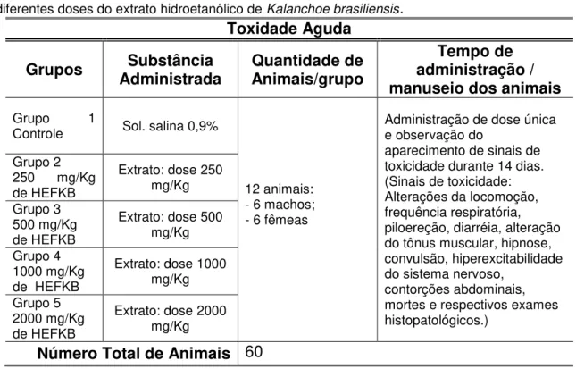 Tabela  1:  Distribuição  dos  animais  por  grupo,  utilizados  nos  ensaios  de  Toxicidade  Aguda  em  diferentes doses do extrato hidroetanólico de Kalanchoe brasiliensis 