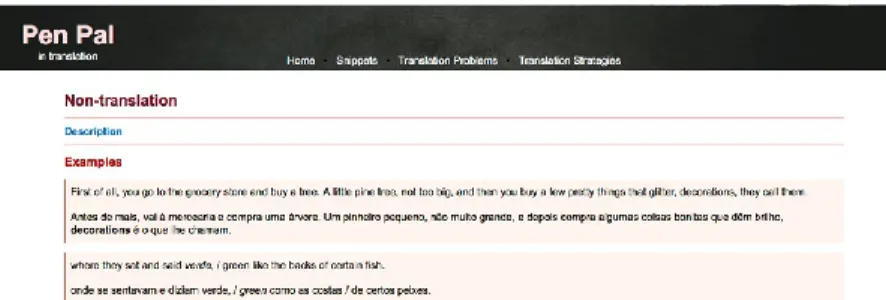 Figure 3. Entry for the strategy “Non-Translation”. 