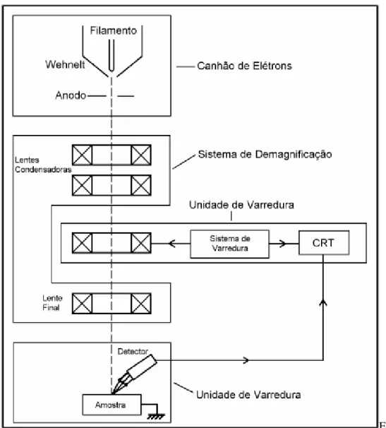 Figura 3 - Esquema dos componentes de um MEV 