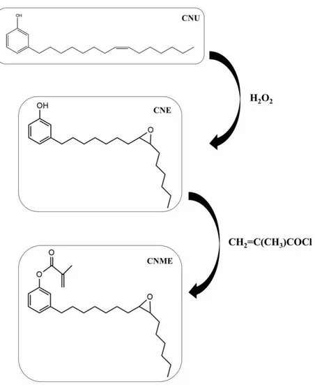 Figure  1  – Synthetic  route:  unsaturated  cardanol  (CNU)  was  epoxidized  with  hydrogen  peroxide,  using  formic  acid  as  a  catalyst,  in  order  to  incorporate  an  oxirane  ring  where  the  unsaturation  was  located  and  form  cardanol-epox