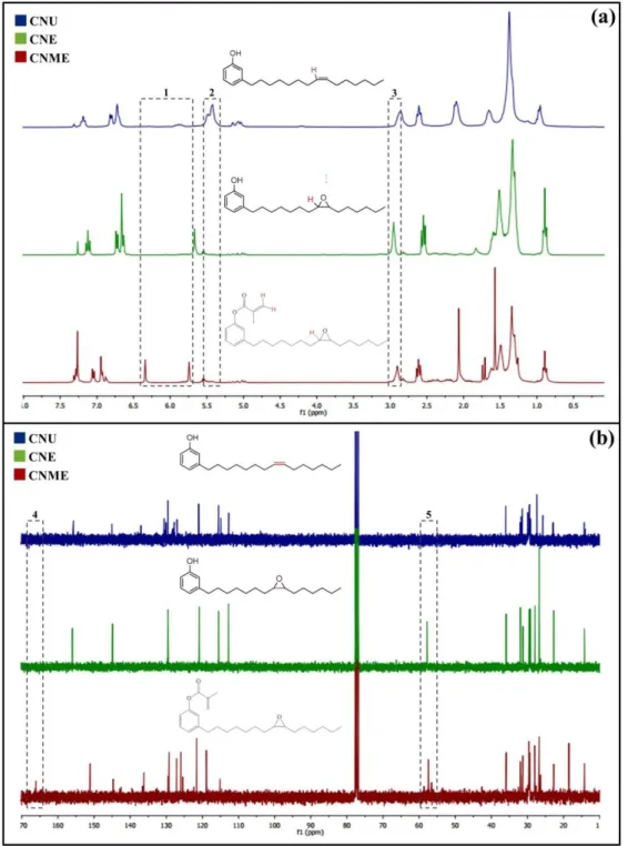 Figure  3  – 1 H  NMR  (a)  and  13 C  NMR  (b)  spectra  of  the  monomers  cardanol  unsaturated  (CNU - blue spectrum), cardanol-epoxy (CNE  –  green spectrum) and  cardanol-methacrylate-epoxy (CNME  –  red spectrum)