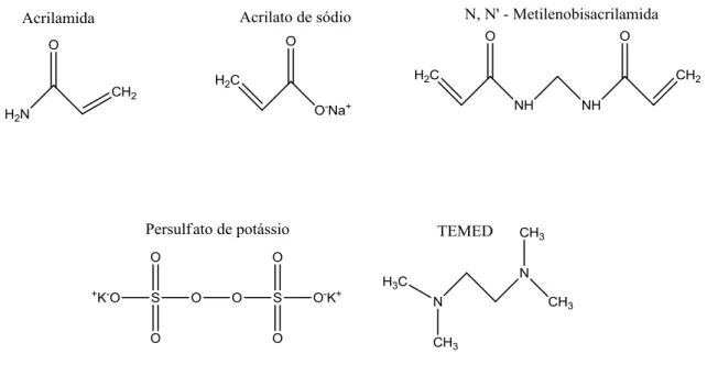 Figura 4 - Estruturas dos reagentes utilizados nas sínteses dos hidrogéis. 