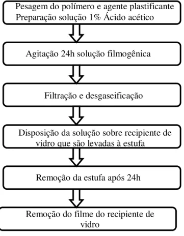Figura 6 - Metodologia da obtenção do filme 