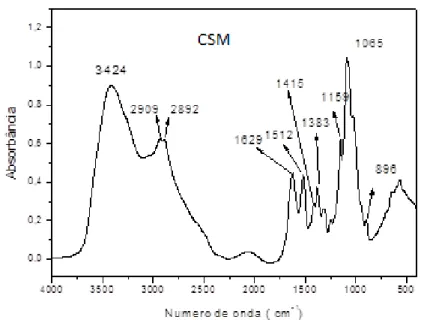 Figura  10  -  Principais  bandas  de  absorção  no  infravermelho  da  quitosana  modifciada (CSM) 