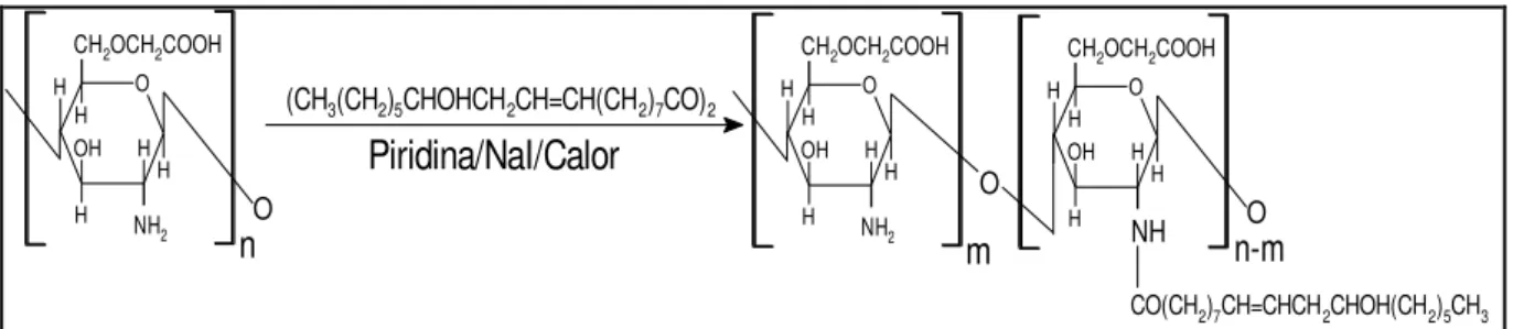 Figura 5: Reação de síntese de derivado lipossolúvel a partir da Carboximetilquitosana e o anidrido  ricinoleico