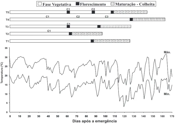 FIGURA 2. Ciclo da cultura de milheto cv. BN-2 em função dos cortes ( T1, T2, T3, T4 e T5) para épocas de semeadura de Setembro