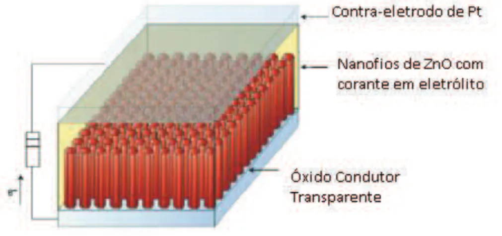 Figura 5: Esquema de uma DSSC de ZnO. 