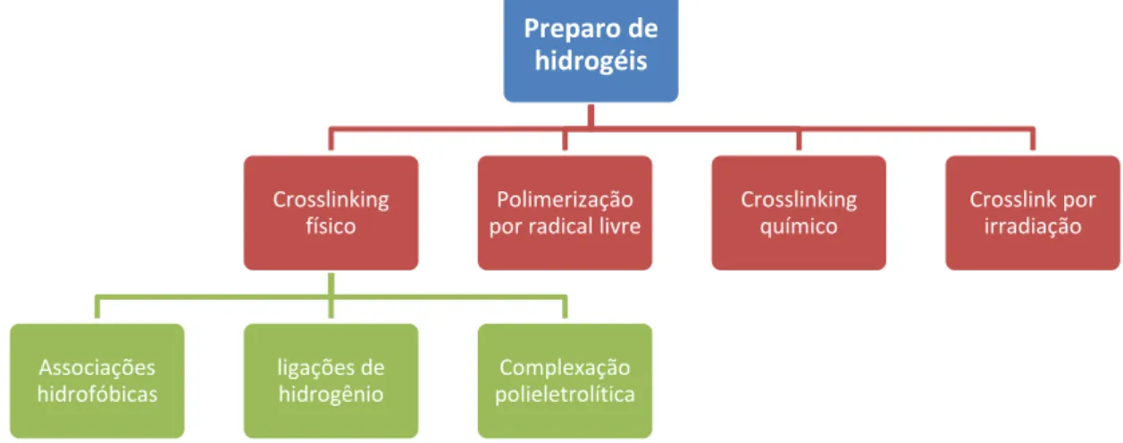 Figura 5 - Diagrama esquemático dos métodos mais comuns de preparo de hidrogéis 