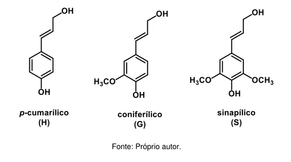 Figura 4  –  Álcoois precursores das unidades fenilpropanóides p-hidroxifenila (H),  guaiacila (G) e seringila (S)