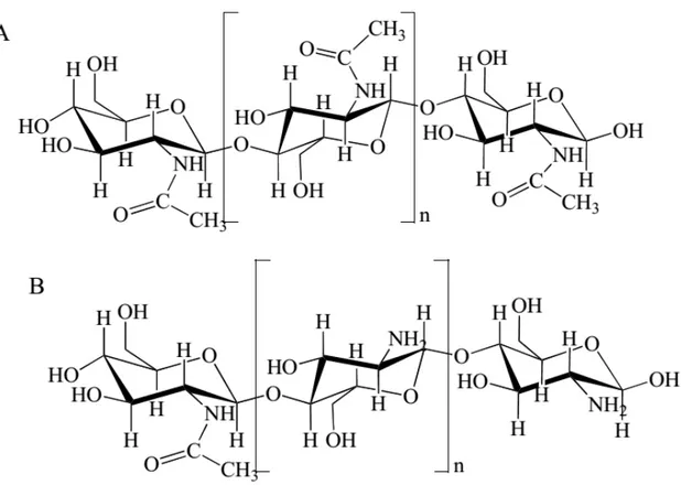 Figura 1  – Estrutura quimica da quitina (A) e quitosana (B).   Fonte: Aranaz et. al., 2009
