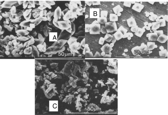 Figura 3 - Imagens de Microscopia Eletrônica de Varredura de Cristais de Oxalato de Cálcio