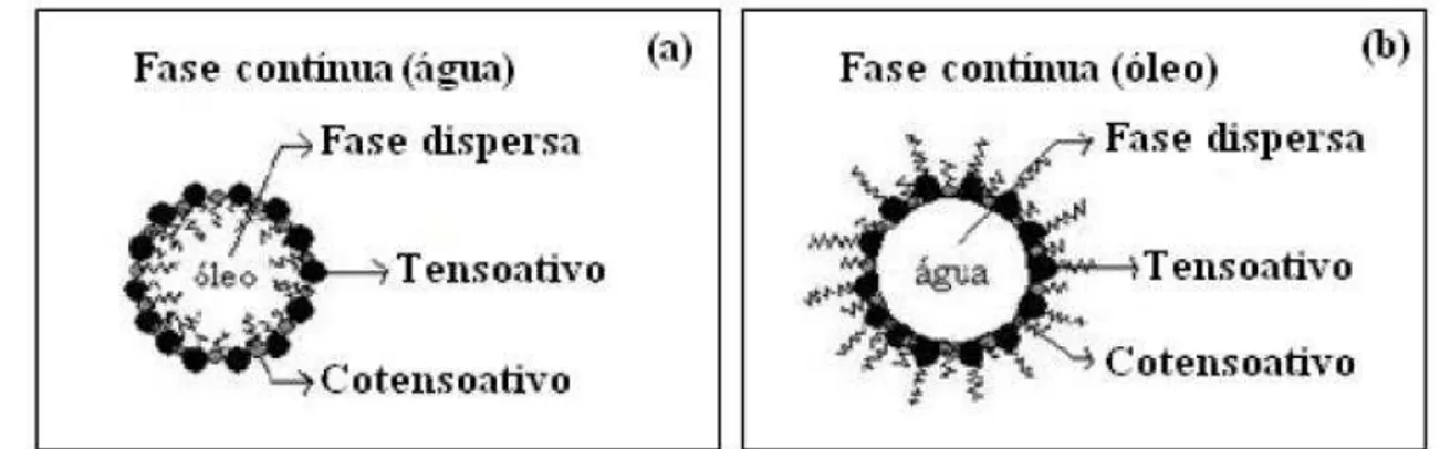 Figura 21. Estrutura de uma microgotícula (a) direta e (b) inversa. 