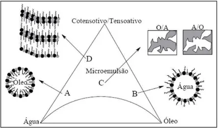 Figura 25- Representação das estruturas de microemulsão num diagrama pseudoternário. 