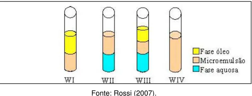 Figura 26- Classificação de fases de Winsor. 