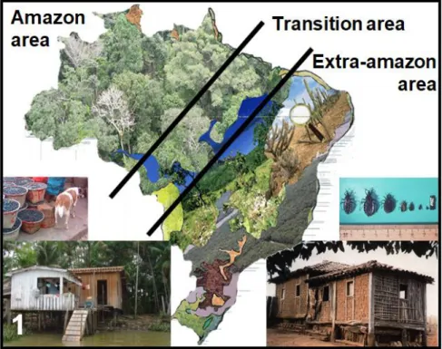 Figure 1: Current status of Chagas disease in Brazil by considering contrasting transmission  characteristics observed in the Amazon and the extra-Amazon areas