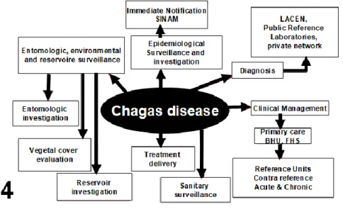 Figure 4:  Flowchart for a systemic approach in the Pará Chagas disease Control Program,  developed in 2007 by the author EGC with the help of Erica Tatto