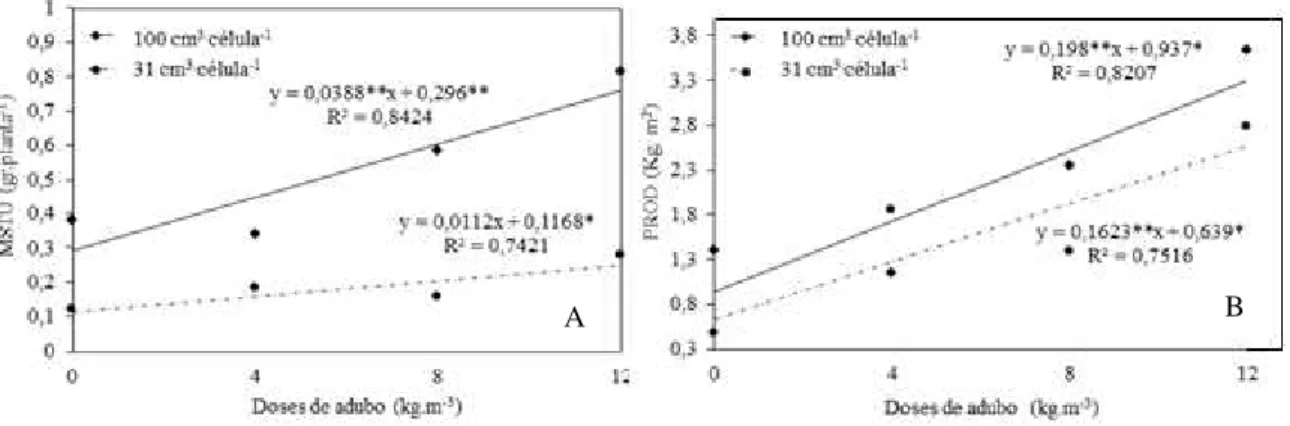 Figura 4 – Massa seca de túberas (MSTU) (A) e Produção total por área (PROD) (B) de plantas  de rabanete, em função de doses de adubo de liberação controlada e cultivadas em dois volumes  de recipientes