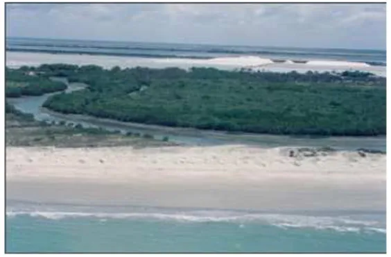 Figura 1.4. Vista aérea da foz do rio Açu mostrando salinas ao fundo e vegetação de manguezal ao longo da  margem do rio (Foto: Helenice Vital, Fevereiro 2006)