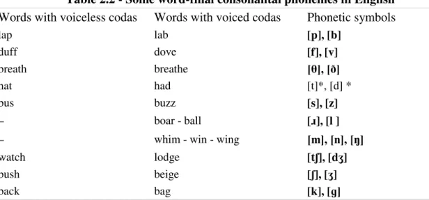 Table 2.2 shows some phonologically distinctive final sounds in English.