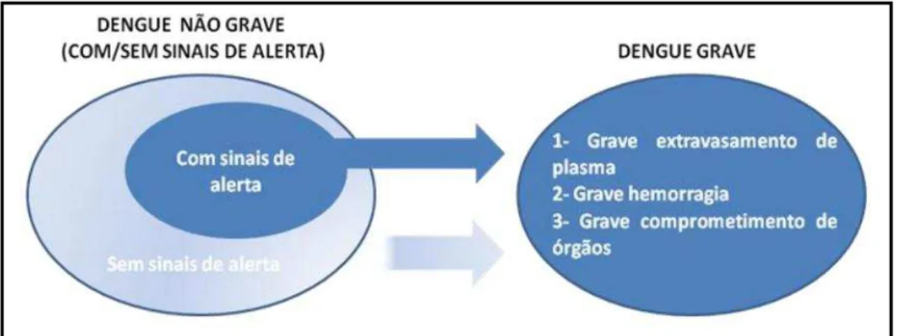 Figura 4 - Classificação da dengue em níveis de gravidade sugerida pela Organização Mundial de Saúde 