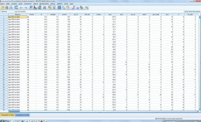 Figura 3.3. Editor de dados do SPSS. 