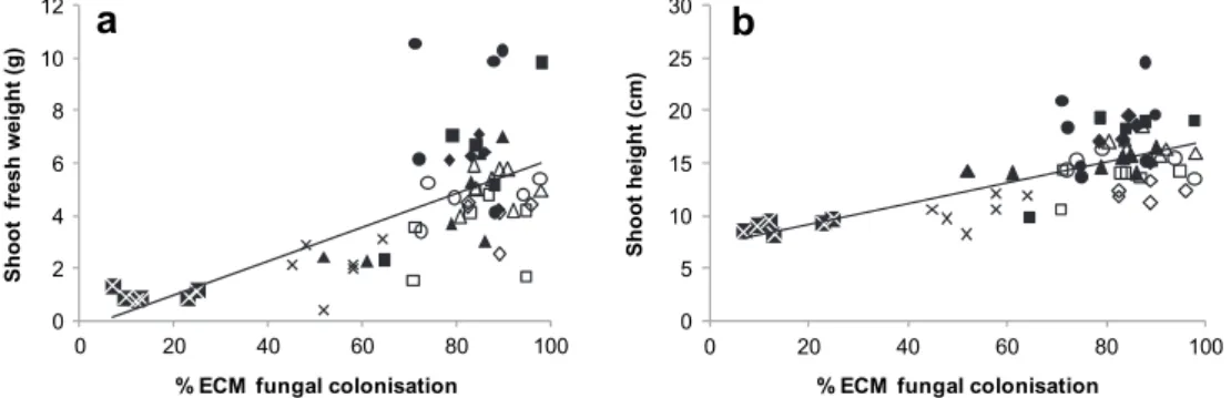 Fig. 4. Relationship between the percentage of ectomycorrhizal fungal colonisation of Pinus pinaster seedlings growing in burned (black ﬁgures) and unburned (open ﬁgures) substrates and (a) the shoot fresh weight (y ¼ 0.063x  0.292; R 2 ¼ 0.400; P &lt; 0.0