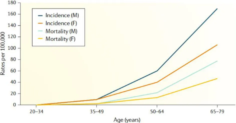 Fig. 4 - Incidence and associated mortality of CRC by age and sex worldwide, from Low  et al