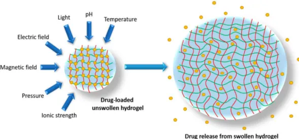 Fig. 8 - Stimuli responsive hydrogel for potential application in pharmaceutics from Harrison and Spada 2018 